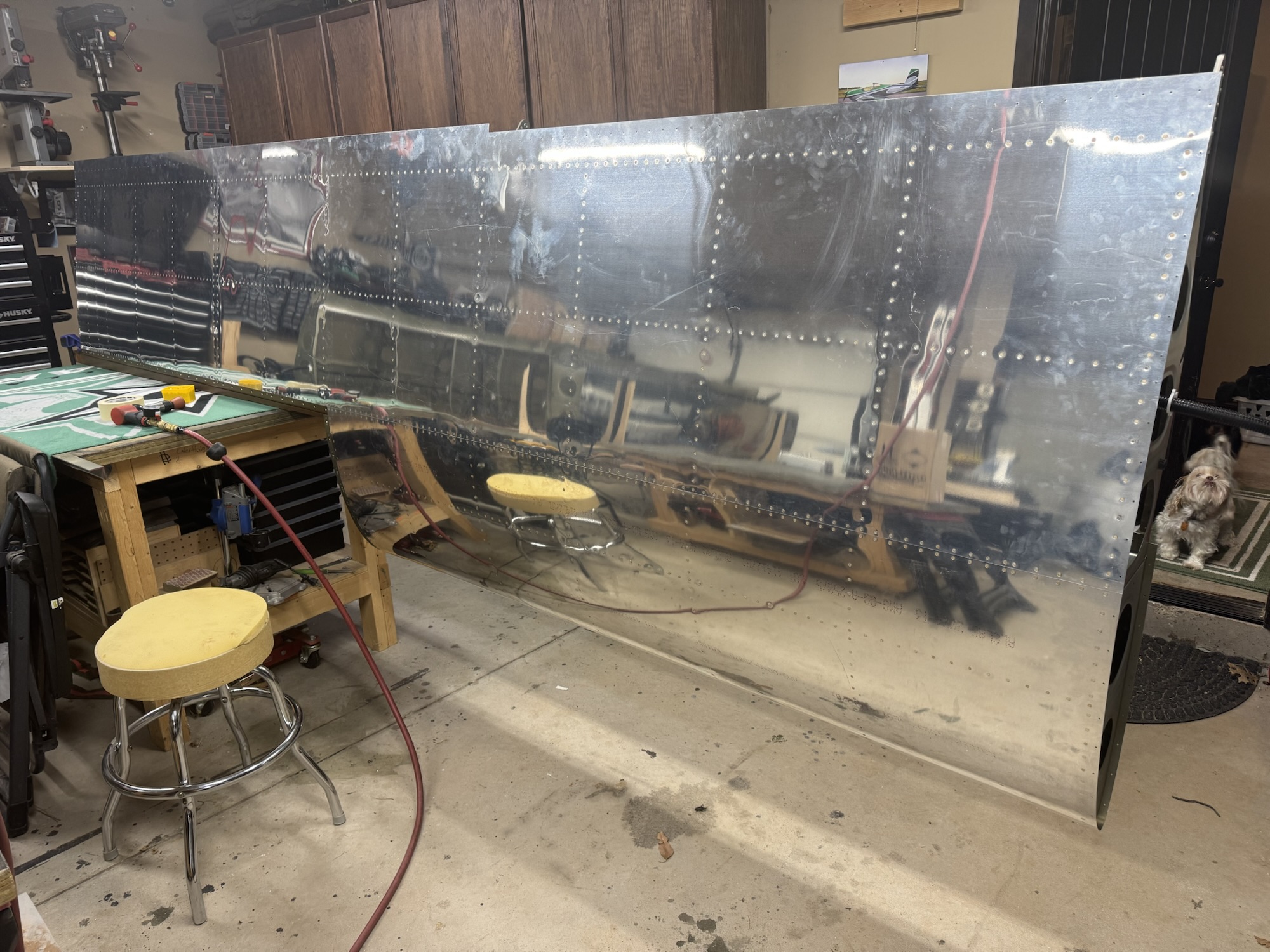 Left Wing Leading Edge Complete